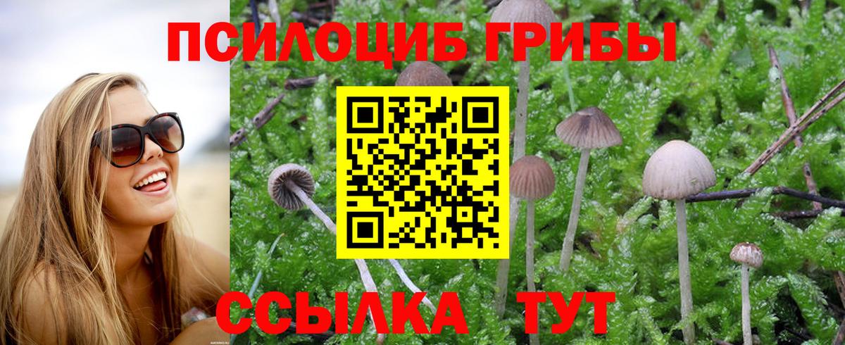 ГЕРОИН Жуковский