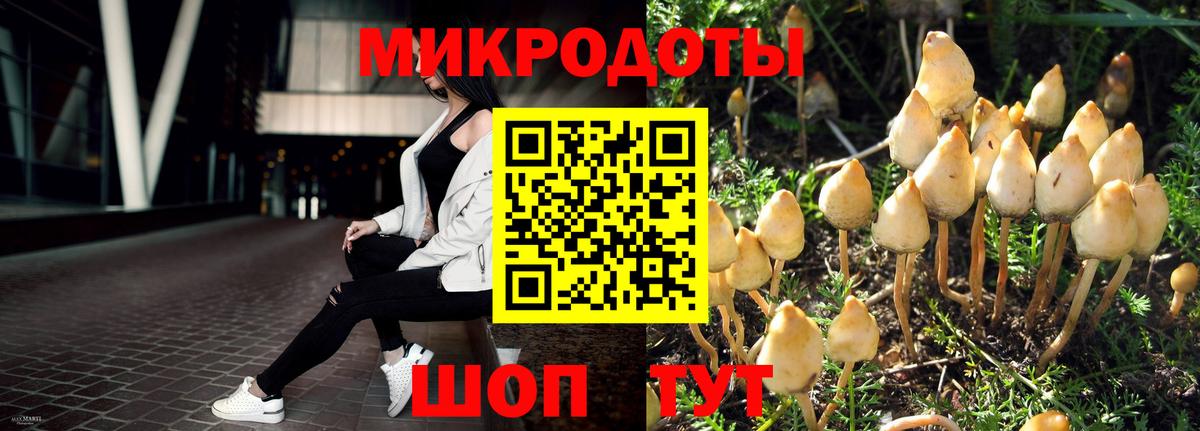 Жуковский  Галлюциногенные грибы GOLDEN TEACHER  Вход с VPN 