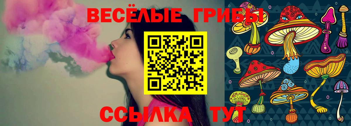 Галлюциногенные грибы Cubensis Жуковский